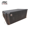 LA-210 Dualer 10-Zoll-2-Wege-Passiv-Line-Array-Lautsprecher, professionelles Konzert-Touring-PA-System