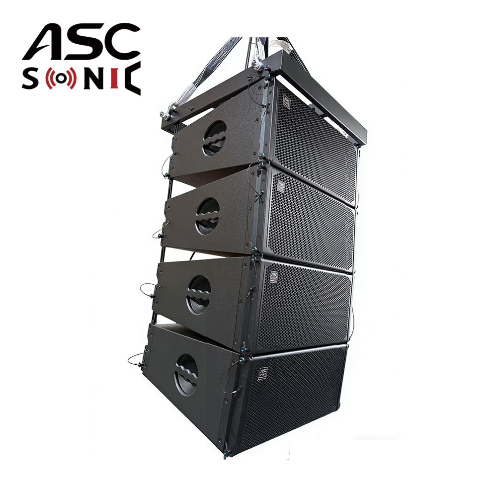 LA-310 Hệ thống &acirc;m thanh du lịch 3 chiều k&eacute;p 10 inch thụ động